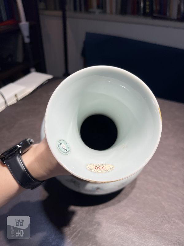清光绪 粉彩百蝶纹赏瓶 - 图19